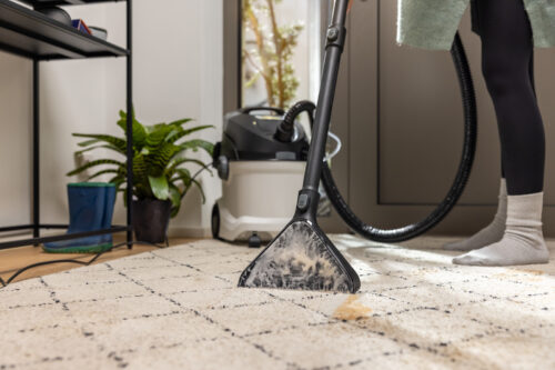 Karcher SE5 - Image 7